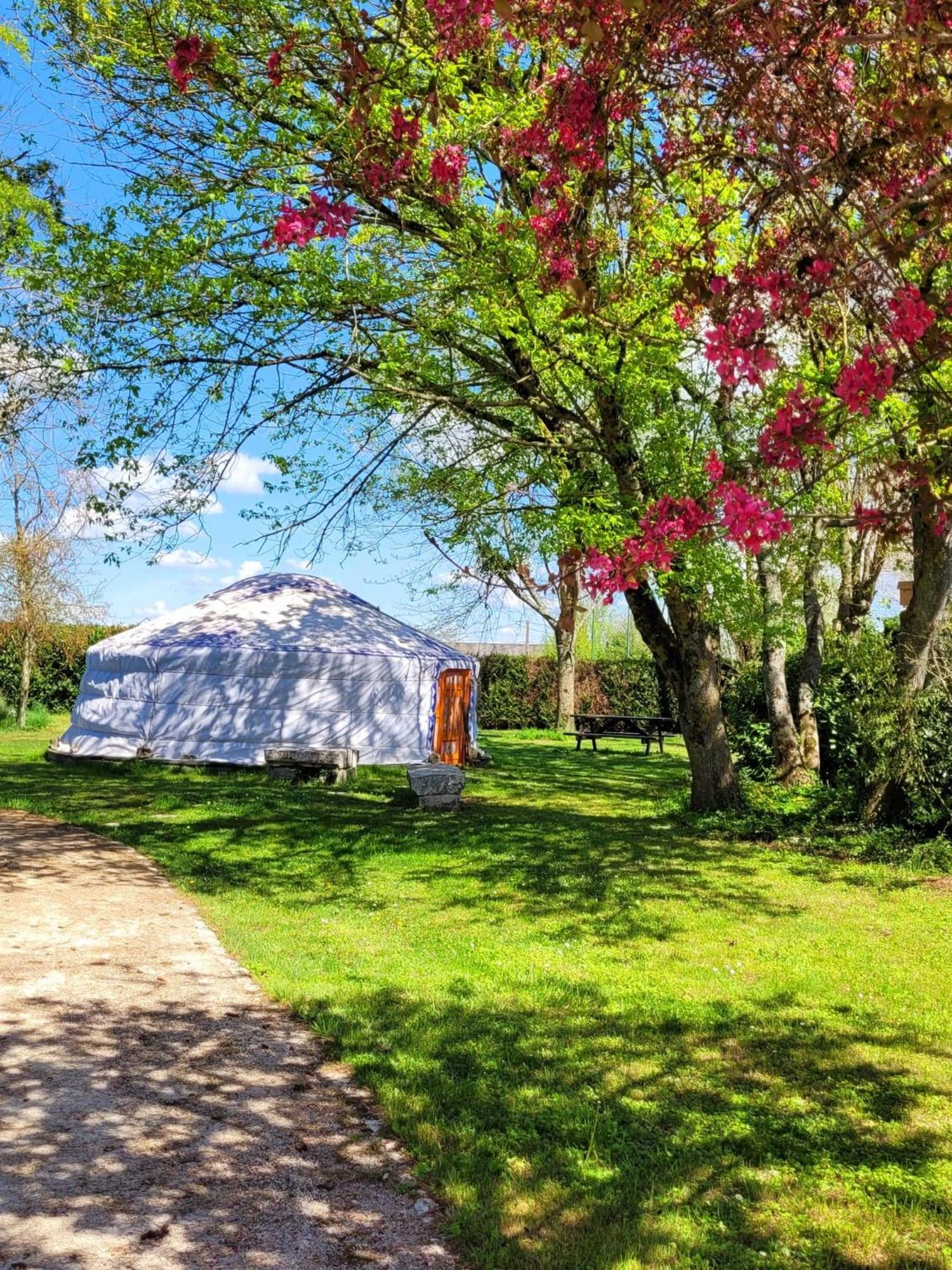 L Amalia Au Coeur Des Chateaux De La Loire Et Du Zoo De Beauval Sambin Kamer foto