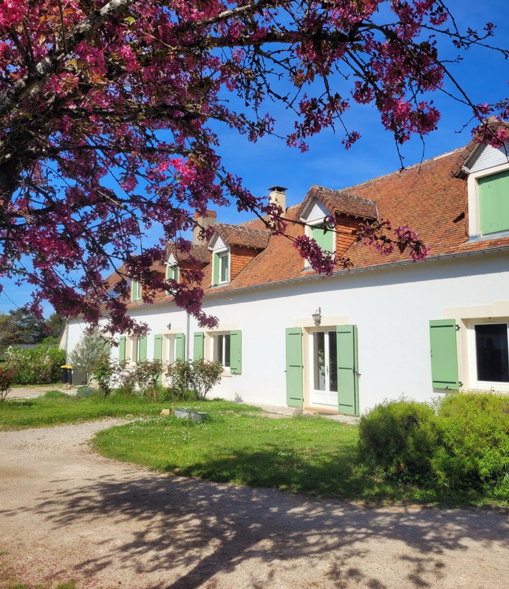 L Amalia Au Coeur Des Chateaux De La Loire Et Du Zoo De Beauval Sambin Buitenkant foto